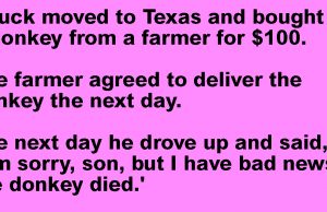 A Young Man Named Chuck Bought A Donkey.