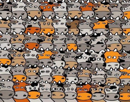 Find the dog hidden among the cows in less than 15 seconds