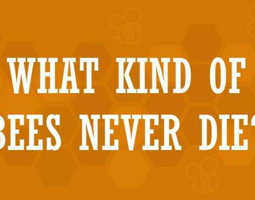 Challenging Bee-themed Puzzles.