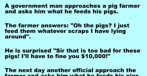 The Farmer and the Pig Food