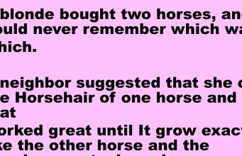 A Blonde Want To Tell Two Horses Apart A Blonde Want To Tell Two Horses Apart