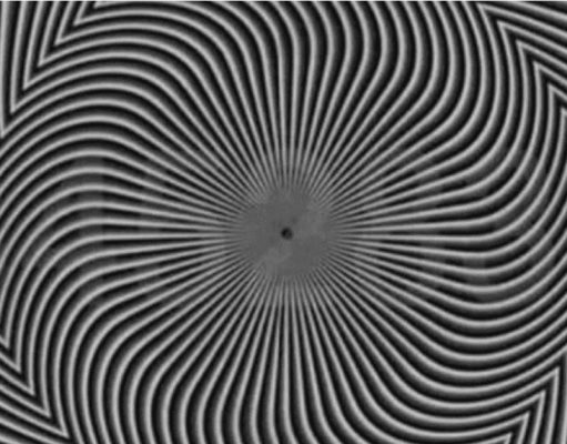What Number Do You See in this black and white swirl?