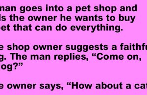 A man goes into a pet shop and buy a centipede.