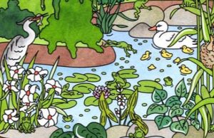 How Many Frogs Can You Find in This Picture?