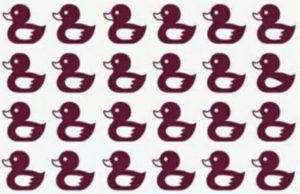 Find The Different Duckling.