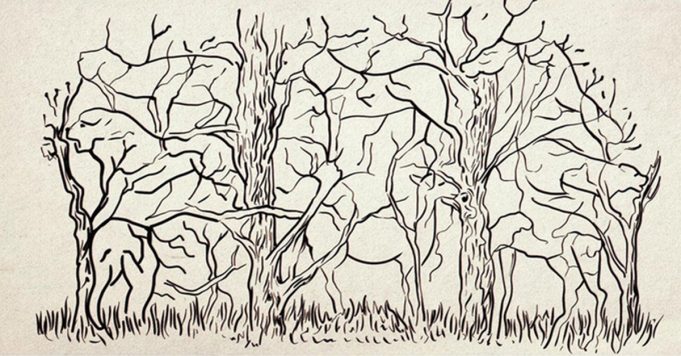 Very few people see all the animals in this picture – how many can you find?