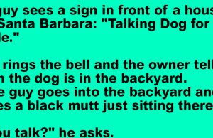 A Talking Dog For Sale