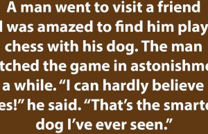 Man playing chess with dog.