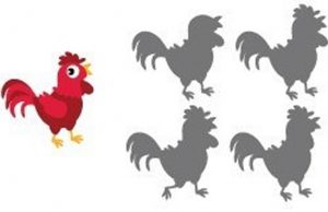 Find The Correct Shadow.