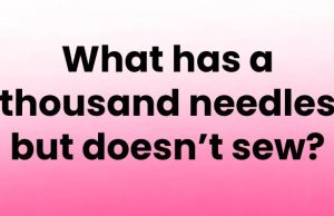 Tricky Questions That Makes Your Brain Sweat #12