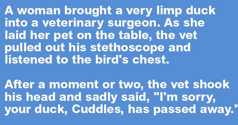 A woman brought a very limp duck into a veterinary surgeon.
