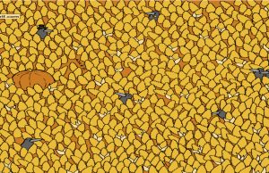 Can You find a PEAR And a HAMSTER in this brainteaser?