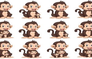 How Many Monkeys Do You See In This Picture?
