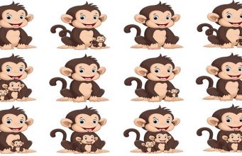 How Many Monkeys Do You See In This Picture?
