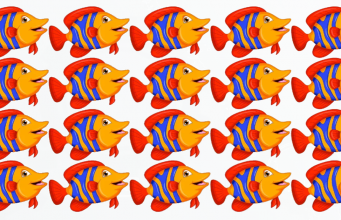 Only 1 In 40 People Spot The Odd One Out In Less Than 20 Seconds