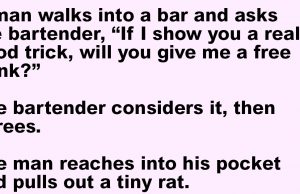 A man walks into a bar and asks the bartender