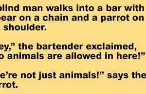 A Blind Man Walks Into A Bar