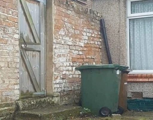Most people fail – but can you find the cat hiding in this picture?