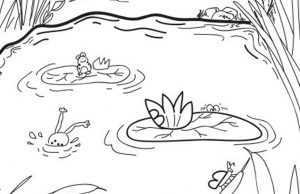 Find 4 of The Letter B.