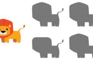 Find The Correct Shadow.