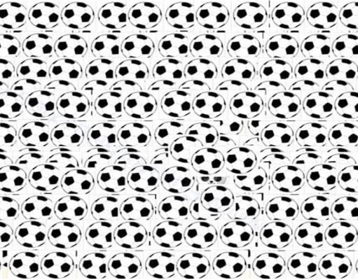 Find The Hidden Panda!