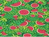 There is a snake hiding among these watermelons, but can you see it?