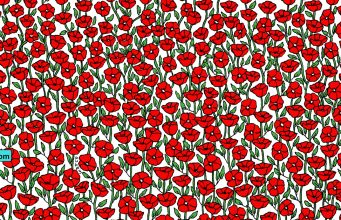 Can You find a CRAB in a poppy field in this brainteaser?