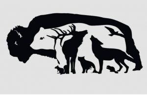 How many animals can you spot in this picture?