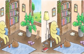 Can You Spot All 7 Differences in This Picture Puzzle?