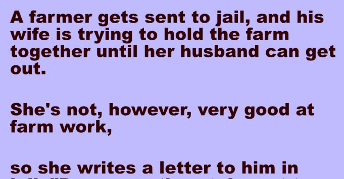 A smart farmer send a letter to his wife