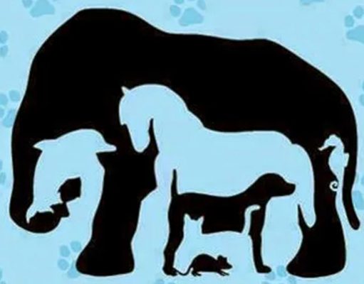 Very few people can spot how many animals in this picture