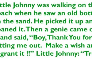 Little Johnny was walking on the beach