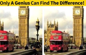 Find The Difference In 30 Seconds!