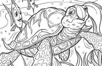 Find Banana, Lizard, Goose, and Dog.