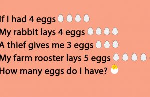 If I Had 4 Eggs Riddle