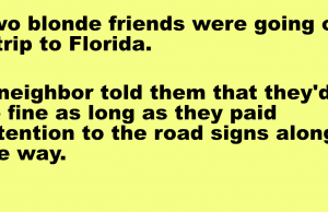 Two blonde friends were going on a trip to Florida.
