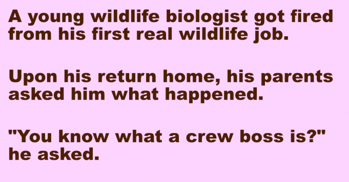 A man got fired from his job