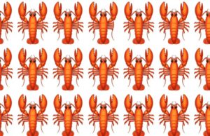 Only 1 In 30 Sharp-Eyed People Can Spot The Odd One