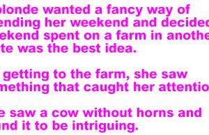 A Blonde Visits a Farm