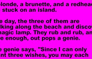 A blonde, a brunette and a redhead on an island.