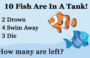 Can You Solve This Fish Math Riddle In Less Than 60 Seconds?
