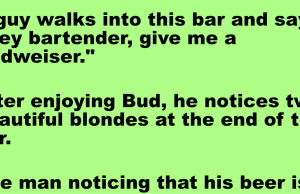 A guy walks into this bar and meets 2 blondes