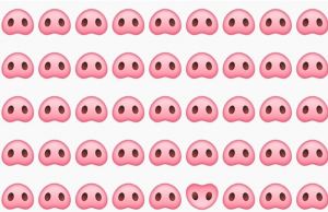 Can you find the odd Pig Nose?