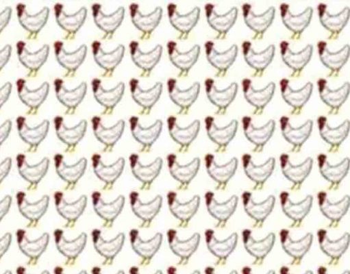 How Fast Can You Find The Hidden Rabbit?