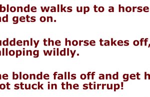A blonde walks up to a horse