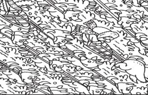 Find the polar bear!