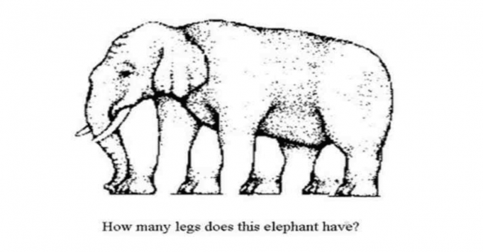 How many elephant legs can you find?