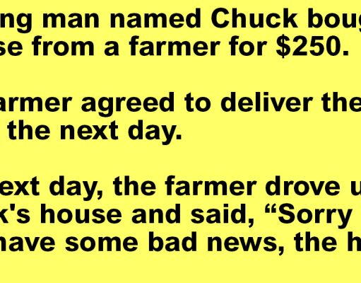 A Young Man Named Chuck Bought A Horse.