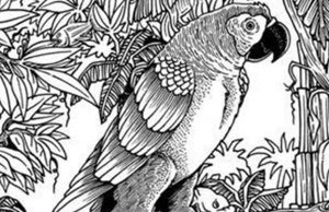 Find Cat, Hat, Comb and Fish.