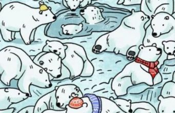 Find the Seal hiding among the Polar Bears in less than 15 seconds